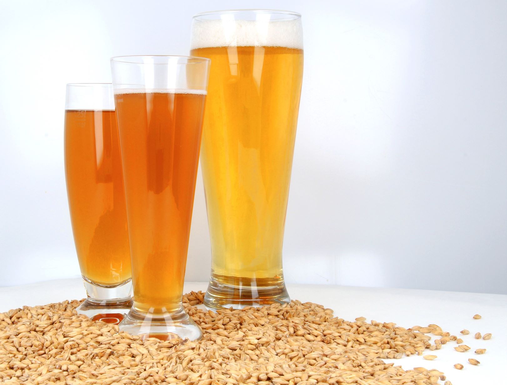 Im Vordergrund sind ganze beigefarbene Getreidekörner, dahinter Bier in Biergläsern zu sehen